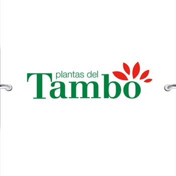 Logo Plantas del Tambo
