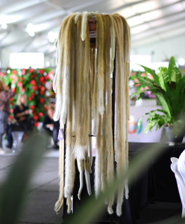 El gran campe&oacute;n del concurso t&eacute;cnico de Colviveros 2022