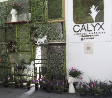 Los mejores expositores de ExpoPlantas 2022