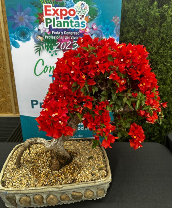 Premio a productor viverista