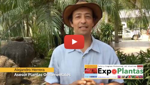ExpoPlantas 2019
