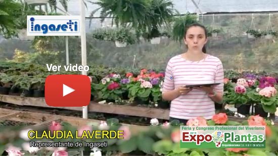 ExpoPlantas 2019