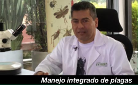 Experto invitado a ExpoPlantas Colombia 2018