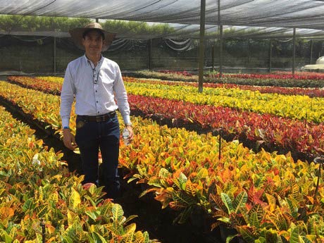 Colombian live plant maintain VAT