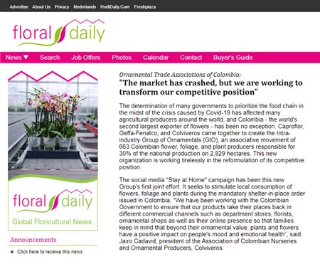 Colombian live plant producers working together during Covid-19 crisis