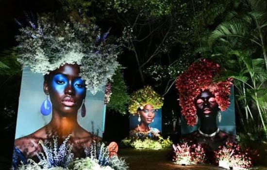 Edición 2025 de la Feria de las Flores de Medellín