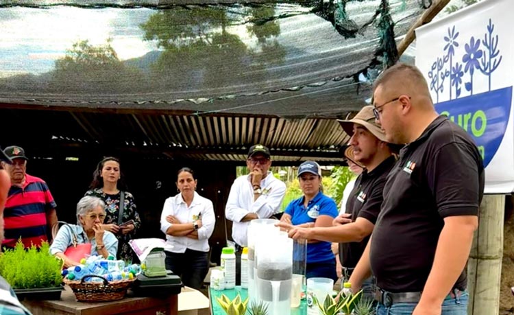 Fertilización eficiente