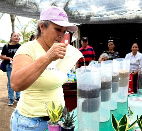 Guía sobre los sustratos