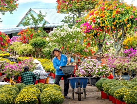 Viveristas laborando