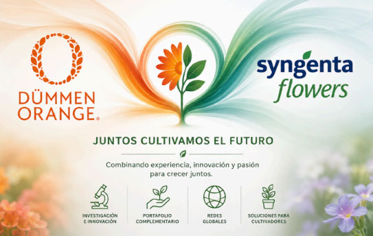 Alianza D&uuml;mmen Orange y Syngenta Flowers