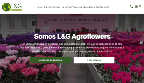 Nuevo sitio web de L&G Agroflowers