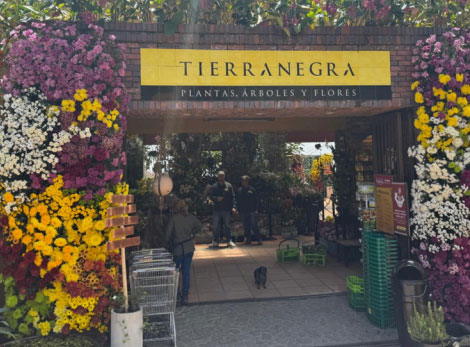 Exhibición de plantas y flores en Tierra Negra