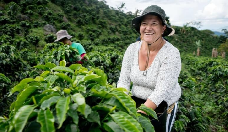 Pa&iacute;ses Bajos, exportador agr&iacute;cola