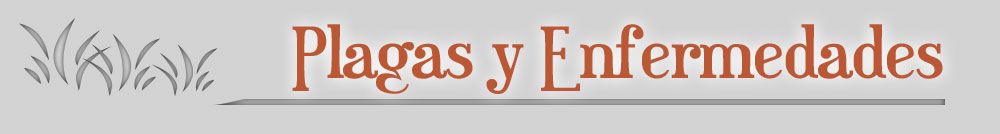 imagen resaltando un enlace