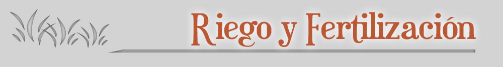 imagen resaltando un enlace